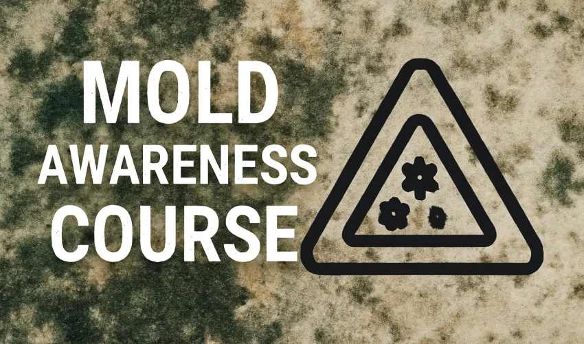 ChatGPT Image Dec 9, 2025, 01_49_30 PM