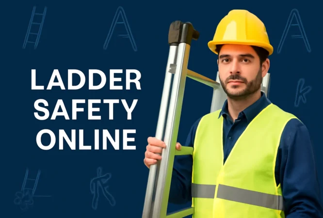 ChatGPT Image Dec 9, 2025, 02_12_45 PM