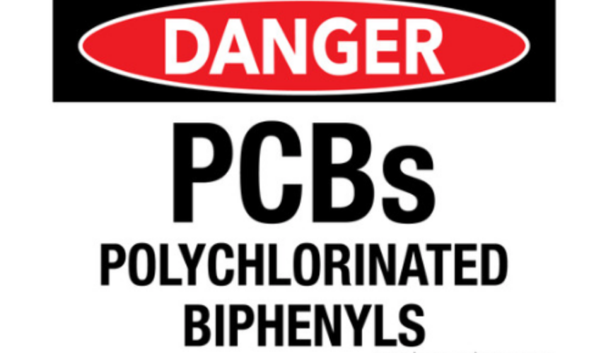 Untitled design (38)